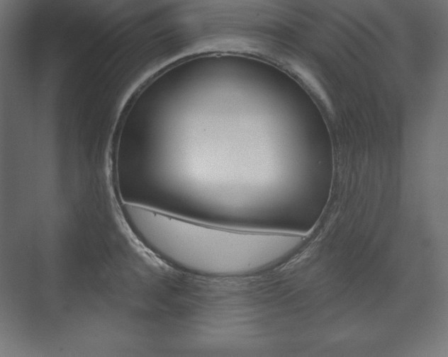 X0000073990944200608211038
