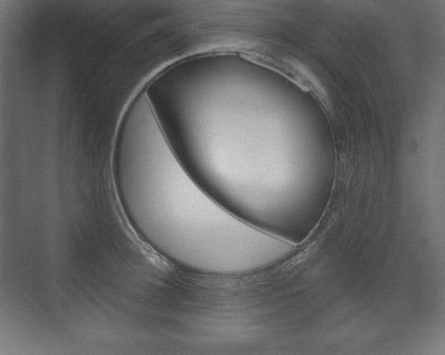 X0000073990948200608211038