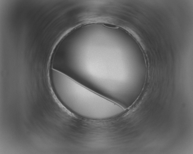X0000073990949200608211038