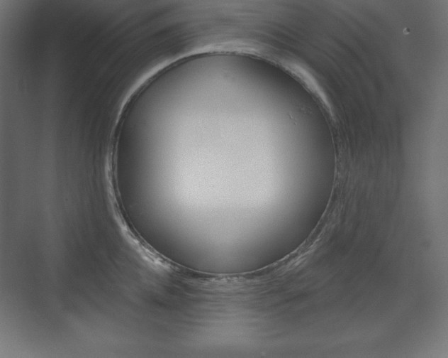 X0000073990952200608211038