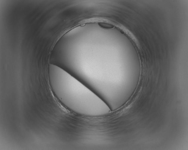 X0000073990953200608211038