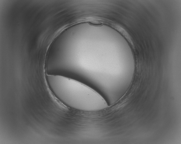 X0000073990954200608211038