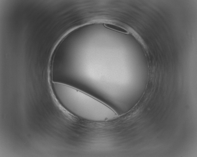 X0000073990955200608211038