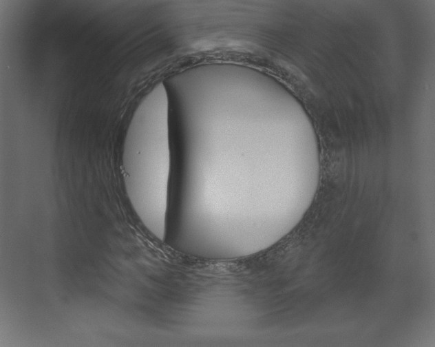 X0000073990966200608211038