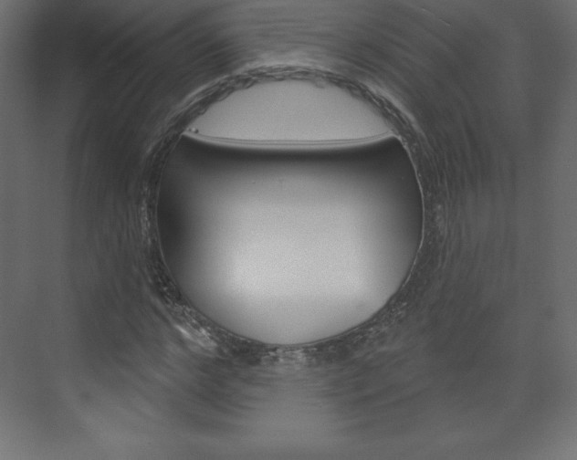 X0000073990968200608211038