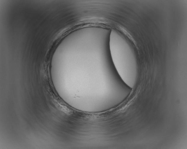 X0000073990970200608211038