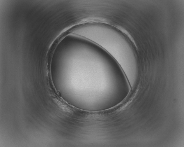 X0000073990973200608211037