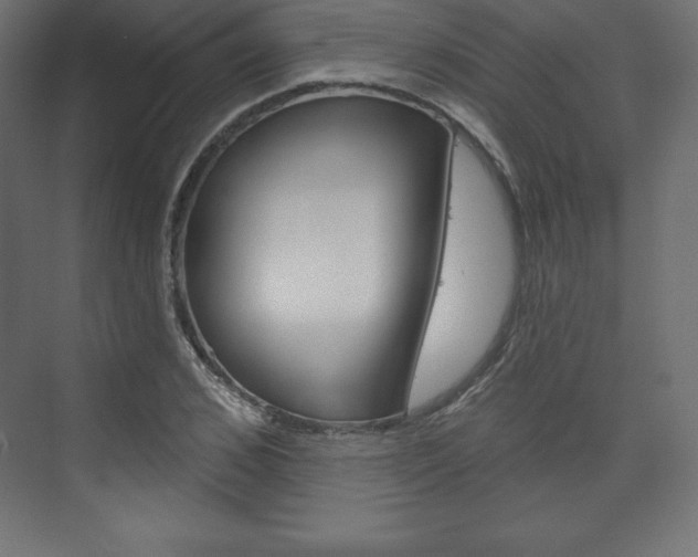 X0000073990976200608211037