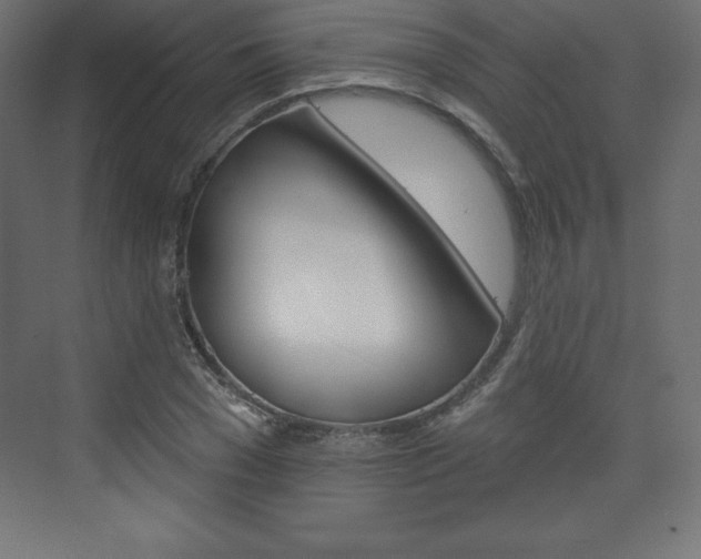 X0000073990977200608211037
