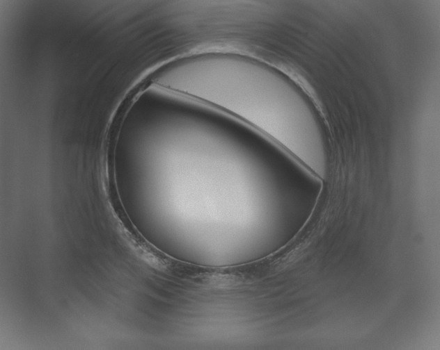 X0000073990984200608211037