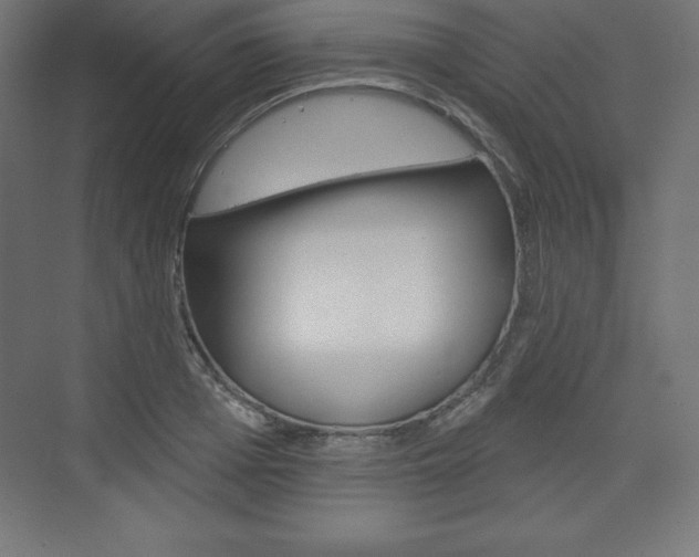 X0000073990985200608211037