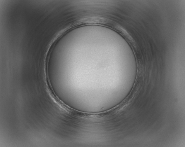 X0000073990986200608211037