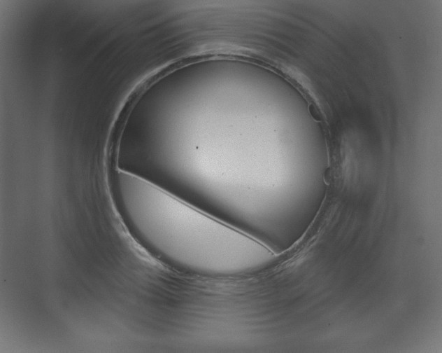 X0000073990987200608211037