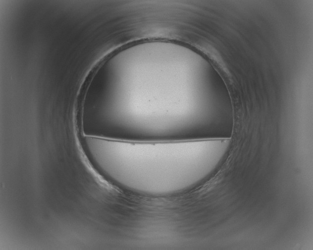 X0000073990991200608211037