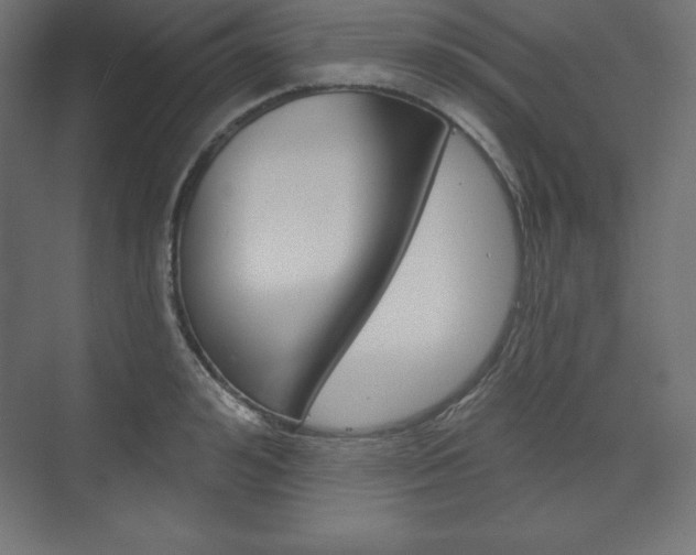 X0000073990992200608211037