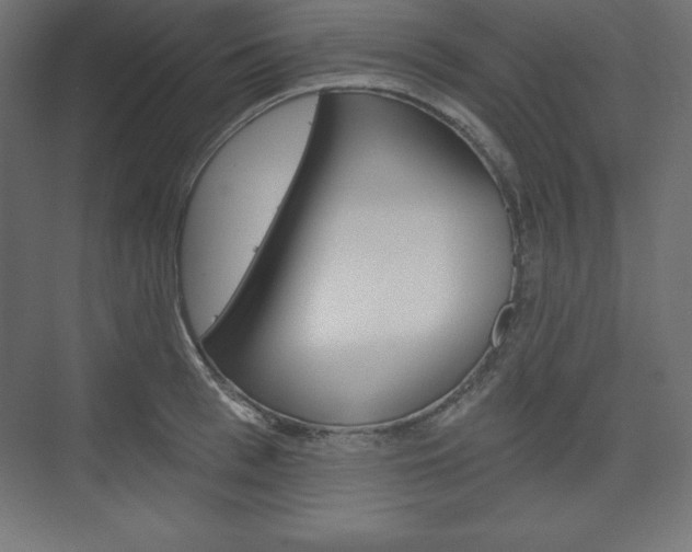 X0000073990993200608211037