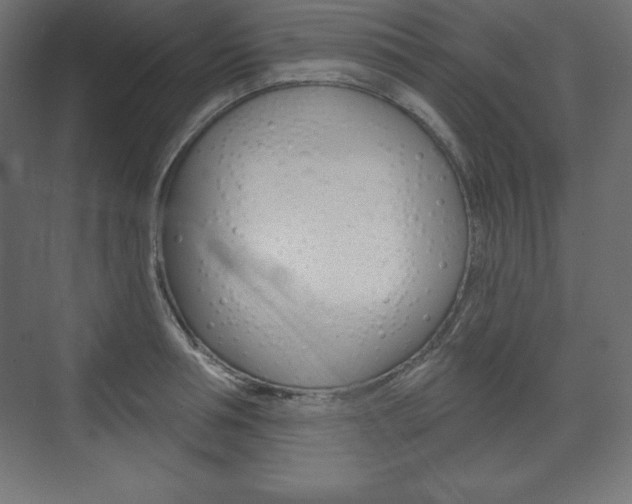 X0000073990994200608211037