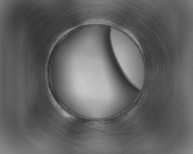 X0000073990995200608211037