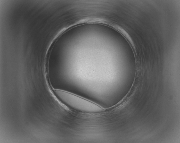 X0000073990997200608211037