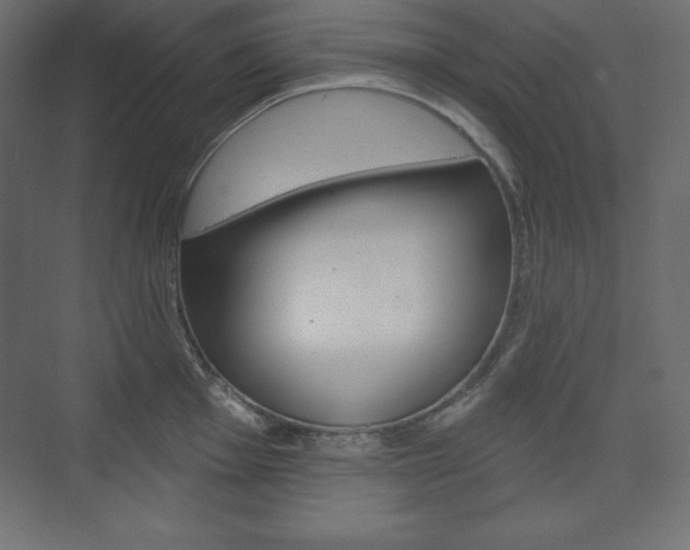 X0000073991001200608211037