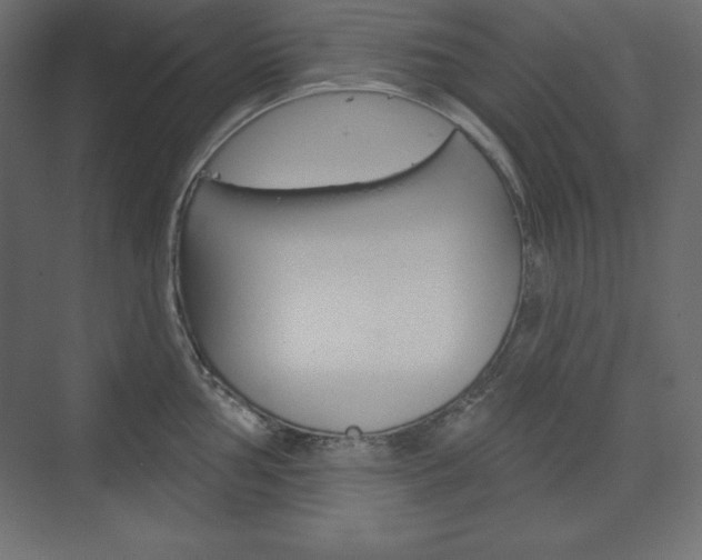 X0000073991002200608211037