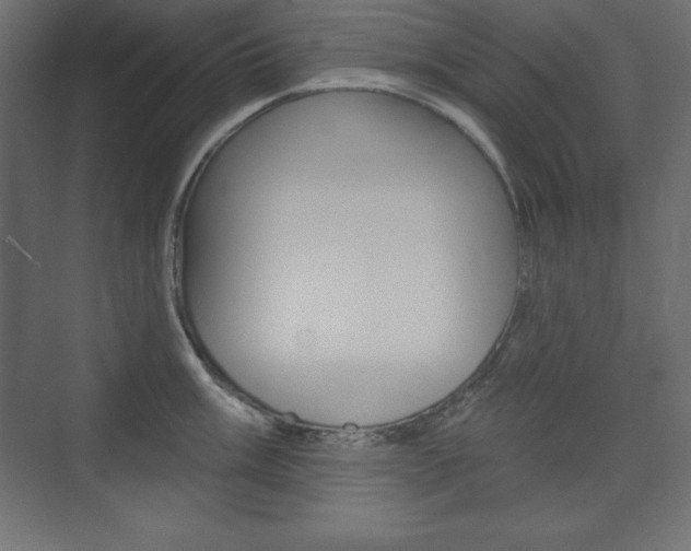 X0000073991003200608211037
