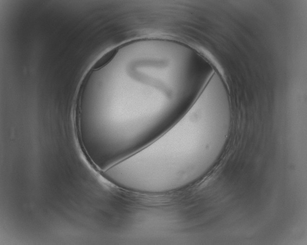 X0000073991007200608211037
