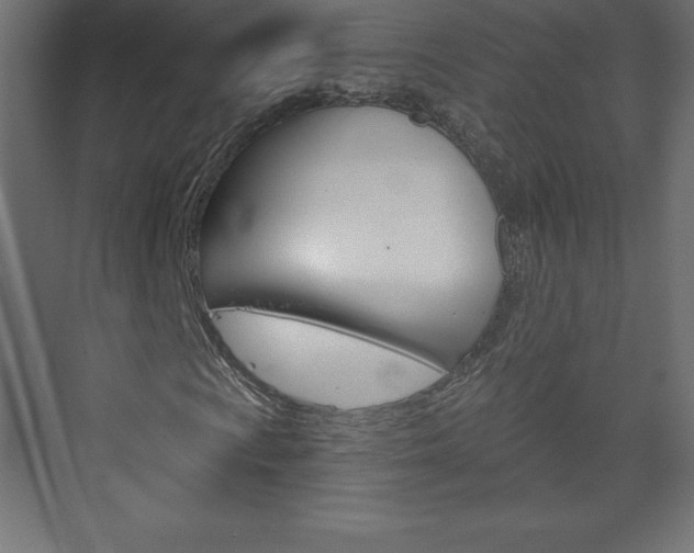 X0000073991009200608211036