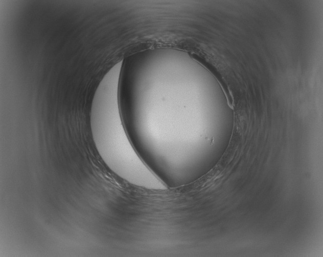X0000073991010200608211036