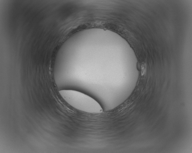 X0000073991011200608211036