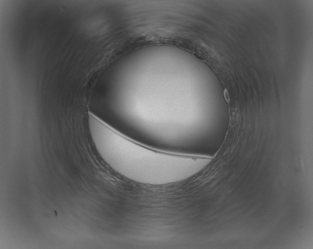 X0000073991012200608211036