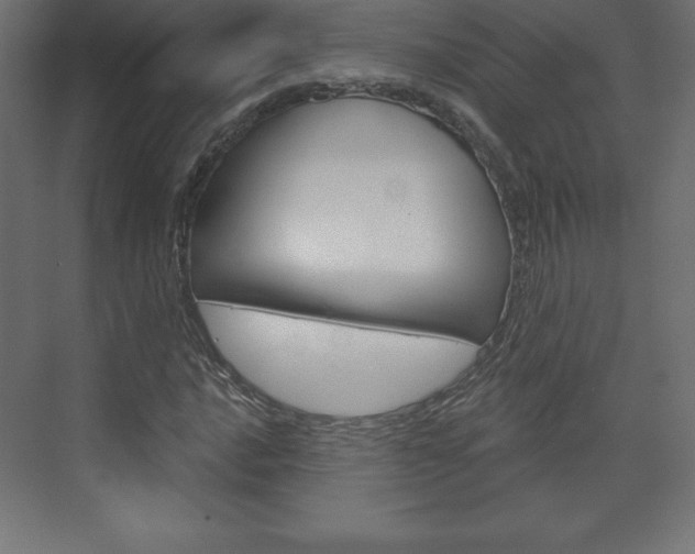 X0000073991016200608211036