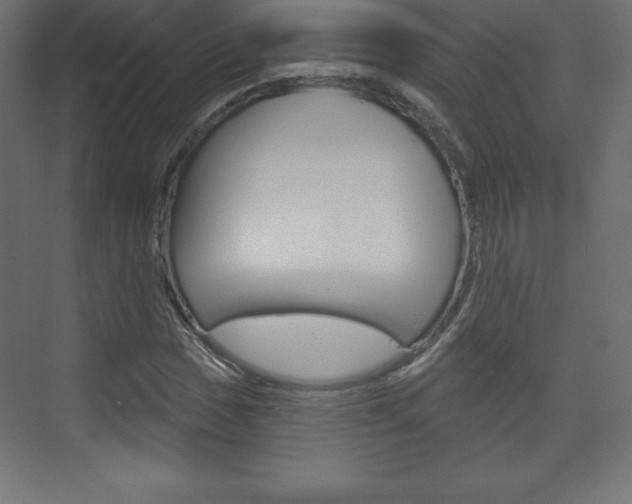 X0000073991017200608211036