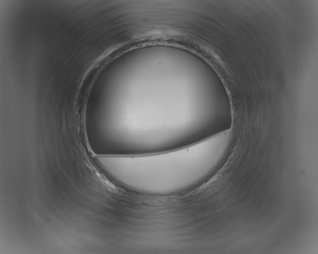 X0000073991018200608211036