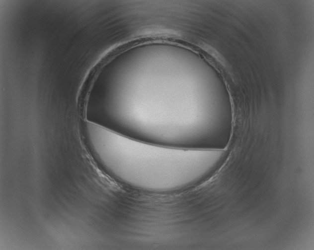 X0000073991022200608211036