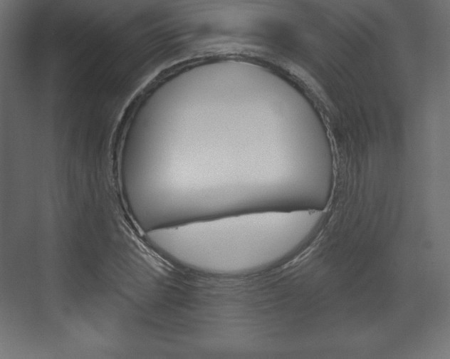 X0000073991023200608211036
