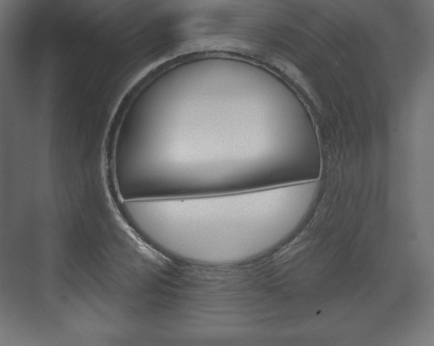 X0000073991024200608211036