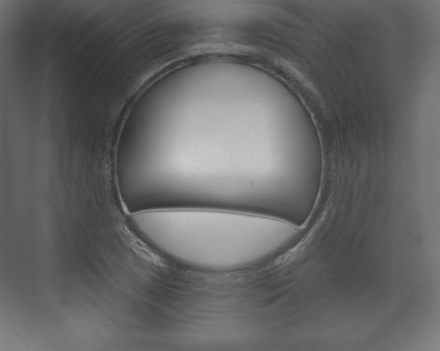 X0000073991025200608211036