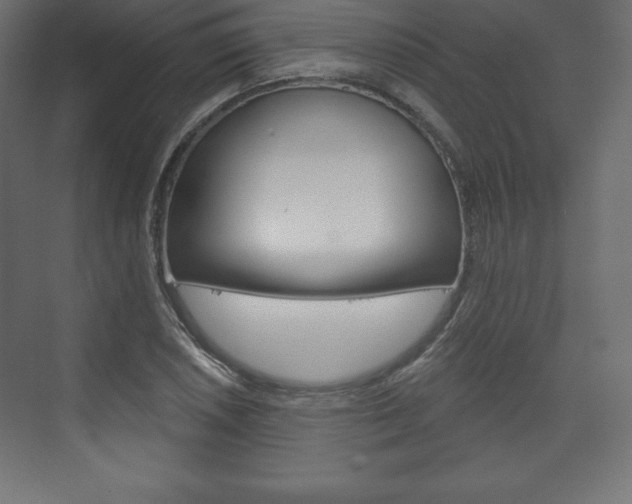 X0000073991026200608211036