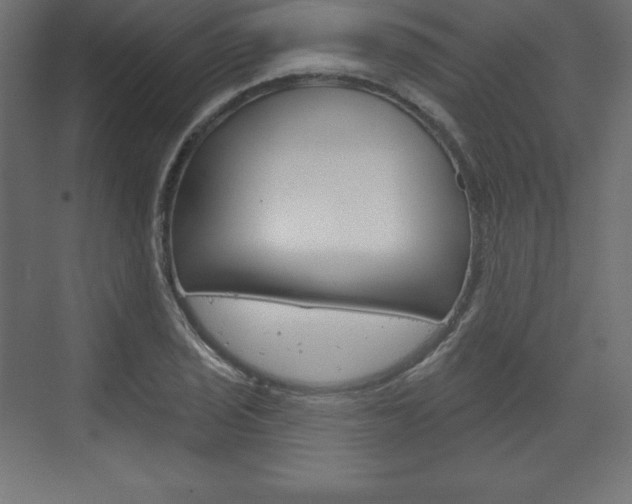 X0000073991029200608211036
