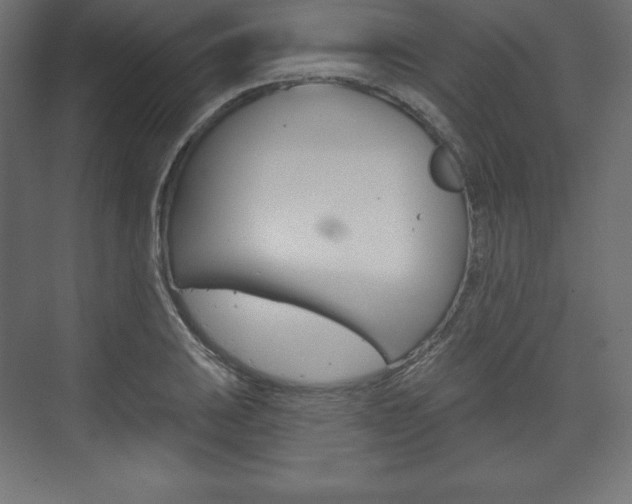 X0000073991031200608211036