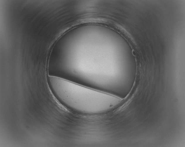 X0000073991033200608211036