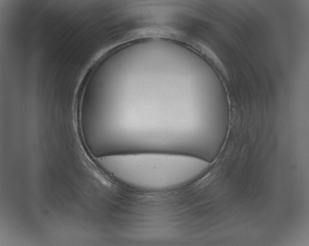 X0000073991035200608211037