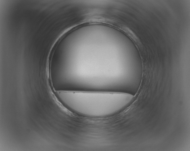 X0000073991036200608211037