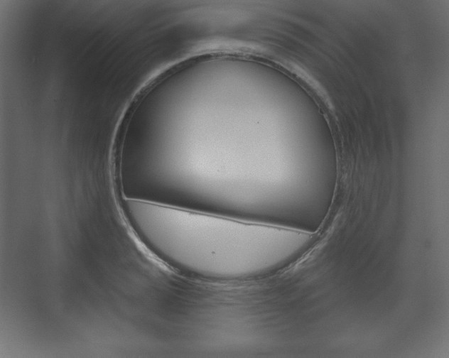 X0000073991037200608211037