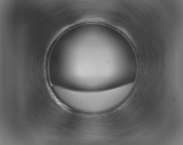 X0000073991038200608211037