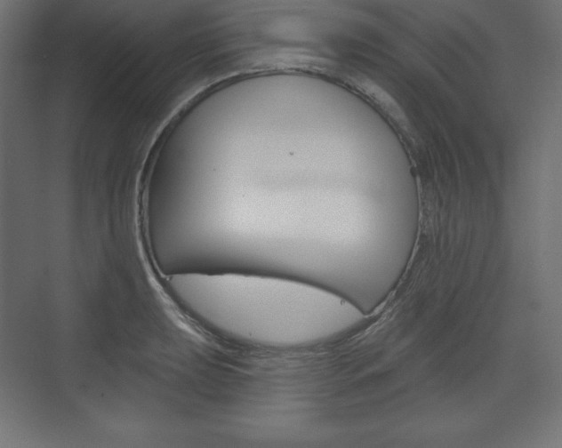X0000073991039200608211037