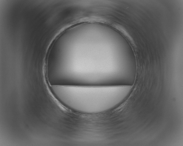 X0000073991040200608211037