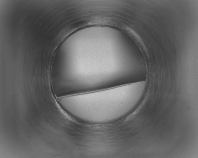 X0000073991041200608211037