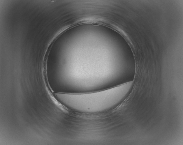 X0000073991042200608211037
